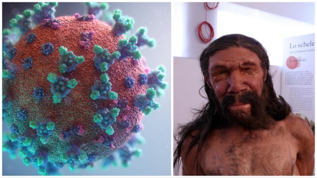 Covid, "geni dell'uomo di Neanderthal hanno favorito la diffusione in Val Seriana", studio dell'Istituto Mario Negri