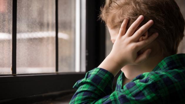 La prima pronuncia del Consiglio di Stato sui diritti delle persone con autismo: riconosciuta una misura minima per il trattamento ABA
