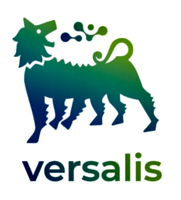 Versalis (Eni), acquisito il 100% di Tecnofilm per espandersi nel settore compounding; Alfani: "Opportunità di sviluppo"