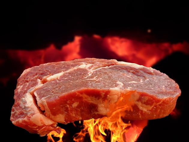 Carne sintetica, Ue pronta a sanzionare l'Italia perché non l'ha ancora introdotta? 