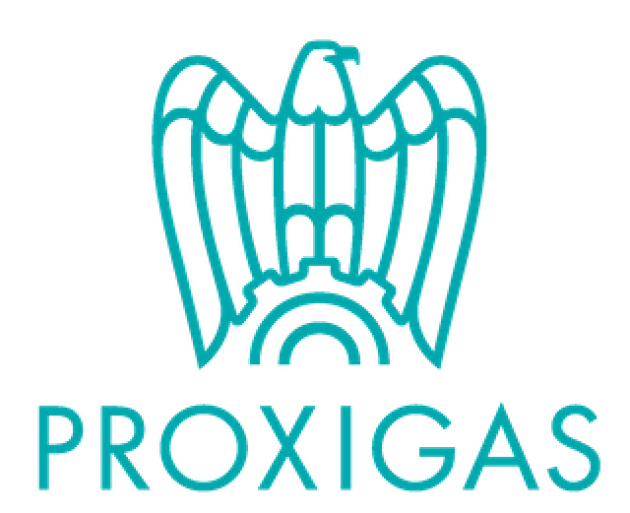 Proxigas, al via una transizione globale ed efficace per garantire un’adeguata offerta di gas 