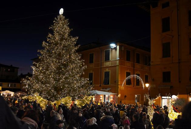Albero di Natale