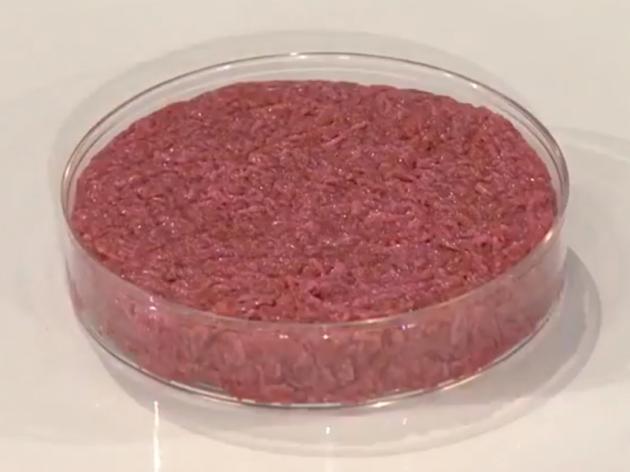 Carne allevata, una nuova espressione della neolingua orwelliana. Si dice sintetica