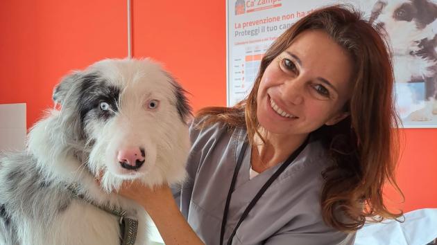 Cani al guinzaglio, culle in soffitta: l’Italia che invecchia e coccola a 4 zampe, sono oltre 65mln i pet nelle case italiane