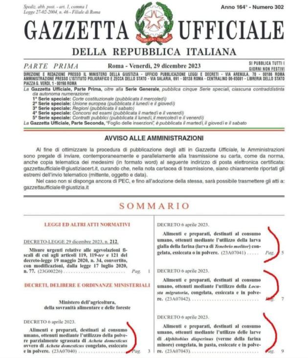 Farina di insetti in Gazzetta Ufficiale, larve, grilli e locuste. Il web: “Ma almeno saranno orgogliosamente italiani?