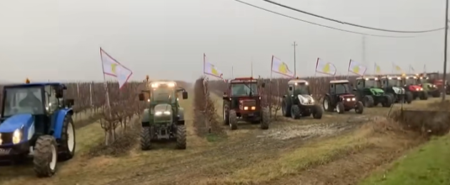 Mobilitazione agricoltori italiani il 22 gennaio, si espande la protesta: "Stop importazioni estere, noi penalizzati dall'UE"