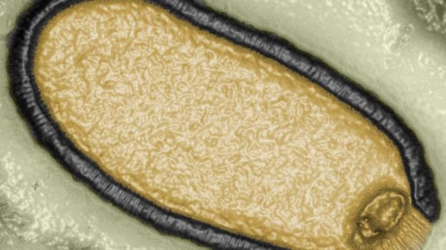 Siberia, "virus zombie" nel permafrost: "Possibile causa nuova pandemia", il web: "Fake news per attaccare la Russia"
