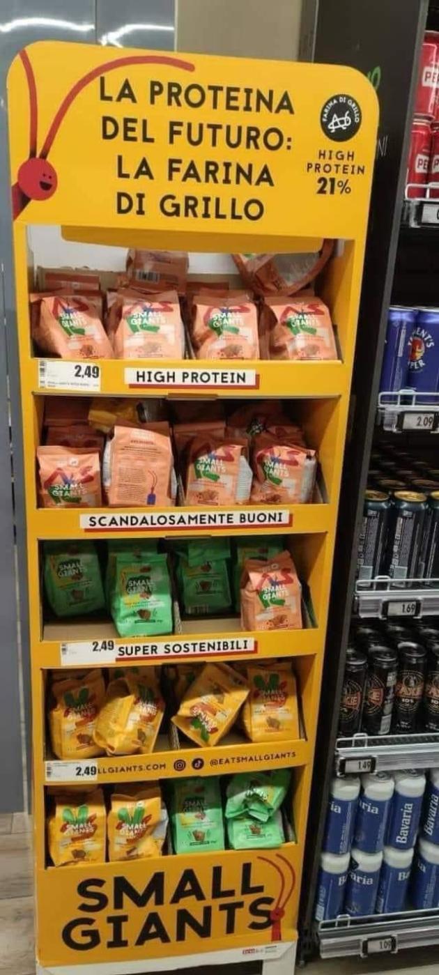 Farina di grilli, a Milano nei supermercati la "proteina del futuro": "scandalosamente buoni". Il web: "Disgustosi, da boicottare"