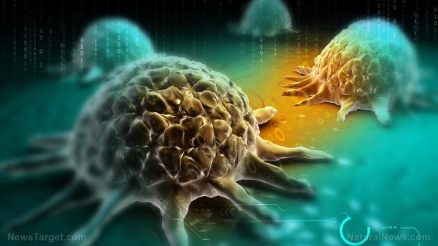Turbocancro, immagine