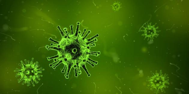 Malattia X, l’Oms avverte: Paesi impreparati alla prossima pandemia. E sgancia la bomba: a Maggio potrebbe essere attivato il protocollo PRET - ESCLUSIVA