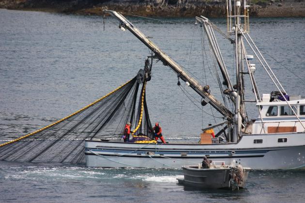Decarbonizzazione delle flotte pescherecce nel Mediterraneo e nel Mar Nero