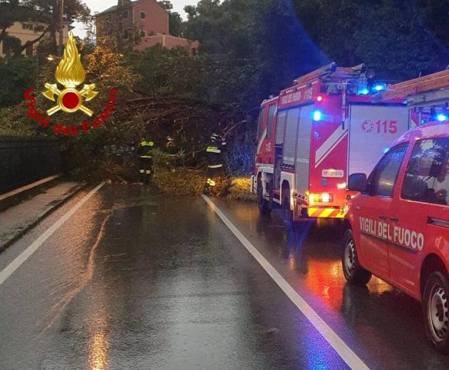 Genova, emergenza in città per alberi caduti e allagamenti, evacuati i pazienti di una rsa per una frana