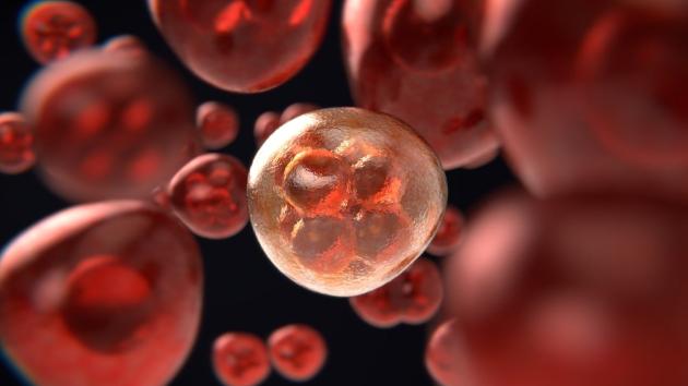 Tumori dei millenials, casi in aumento in Italia, 395.000 nuove diagnosi nel 2023, i più frequenti alla prostata e alla mammella