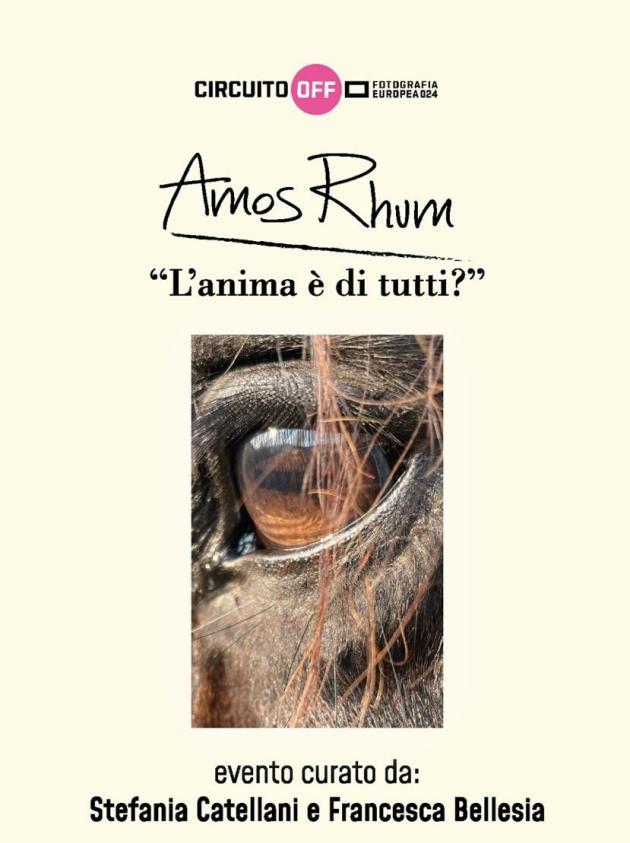 Reggio Emilia, al via la mostra Amos Rhum “L’anima è di tutti?” curata da Stefania Catellani e Francesca Bellesia