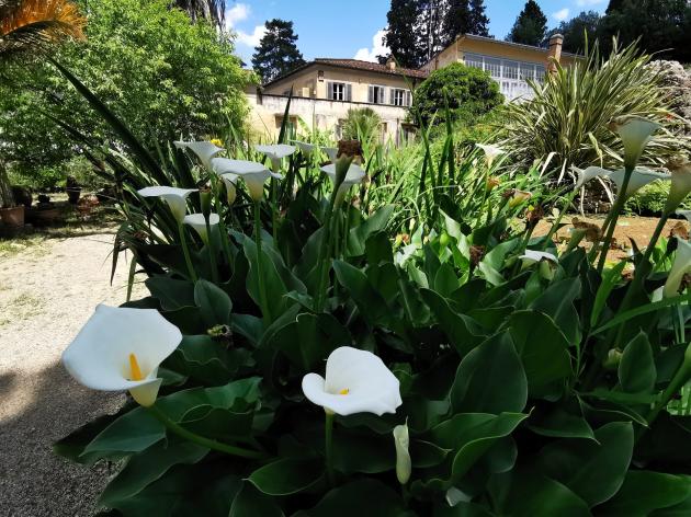 Giardino di Boboli