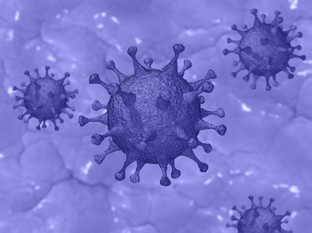 Kp3, la nuova variante Covid, presunti casi in aumento, così si produce il terrore nella popolazione