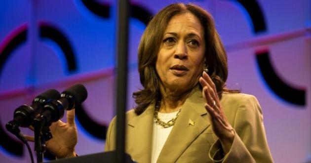 Da Biden alla Harris, i Dem americani si giocano la disperata carta dell'immigrata indiana e di colore, puntanto sui movimenti black lives matter e cancel culture e non sulla politica