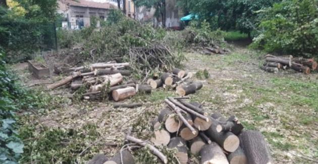 Giardino Scaldasole e abbattimento di 20 tra alberi e piante, Lega e Lista Civica pronte a interrogazione in Consiglio comunale