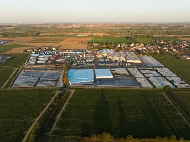 Pomodoro da Industria, Alessandro Squeri (DG Steriltom): “Raccolta in calo causa maltempo, ma crediamo nella capacità dei nostri agricoltori ”