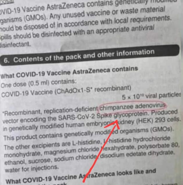Vaiolo delle scimmie "reazione avversa al vaccino covid" (AstraZeneca) a causa dell'adenovirus di scimpanzé nel siero per veicolare proteina Spike