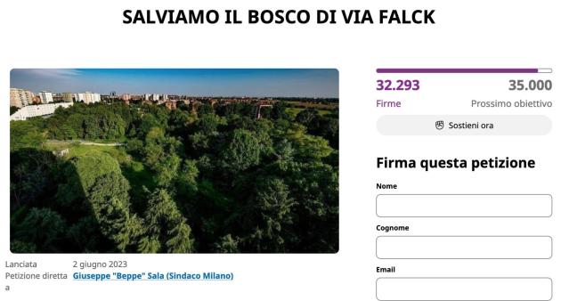 Milano taglio alberi petizione  firme abbattimento piante bosco via Falck Beppe Sala Elena Grandi
