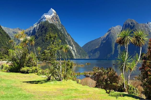Nuova Zelanda triplica la tassa d'ingresso che viene portata a 70 euro a persona, quasi un record mondiale