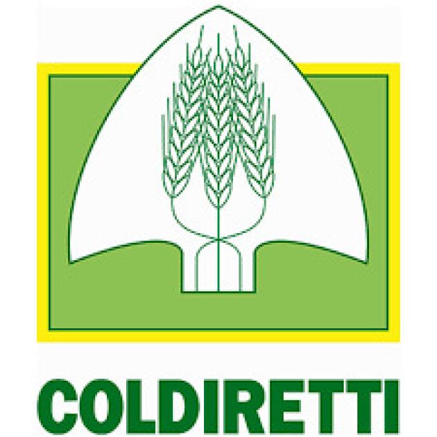 Coldiretti, Raffaele Fitto nominato nuovo vicepresidente esecutivo della Commissione UE e Commissario alle Politiche di coesione