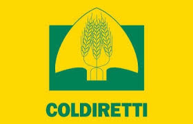 Coldiretti, nei campi italiani mancano 100mila lavoratori; richiesti interventi urgenti anche per l'industria alimentare 