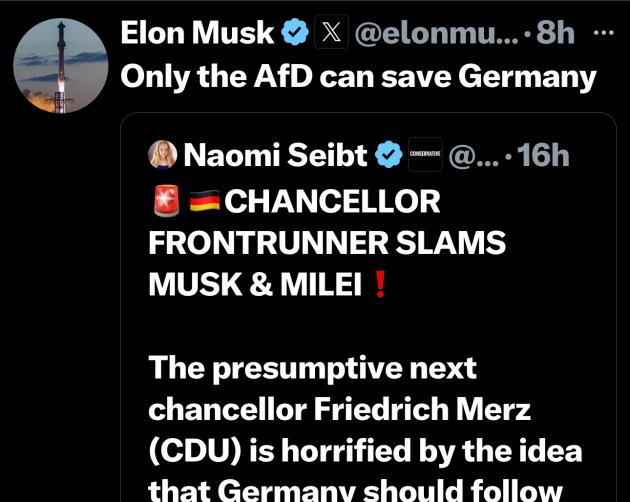 Elon Musk appoggia l’AfD: “Solo loro possono salvare la Germania”