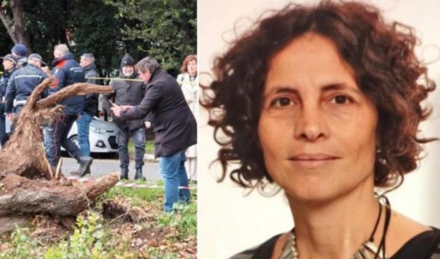Francesca Ianni, morta schiacciata da un albero davanti ai figli, i vicini: "Nessuna manutenzione, il parco è abbandonato, vergogna"
