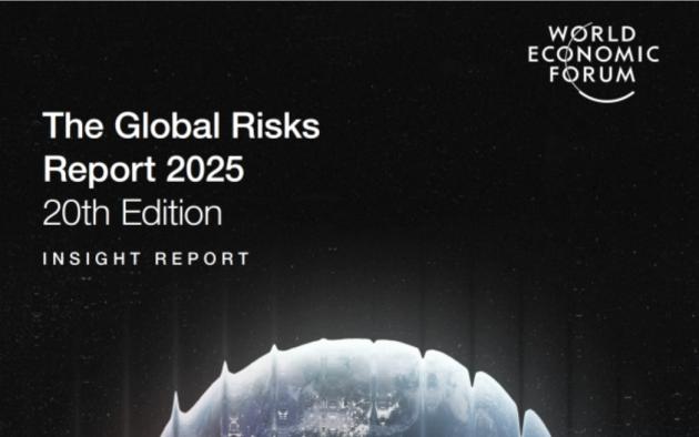 Global Risks Report Davos 2025