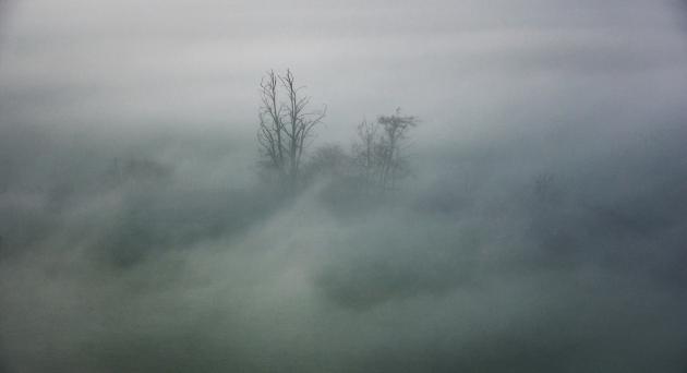 Nebbia