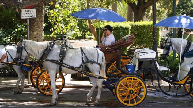 Malaga, addio alle carrozze per turisti a causa del troppo caldo e dello stress per i cavalli