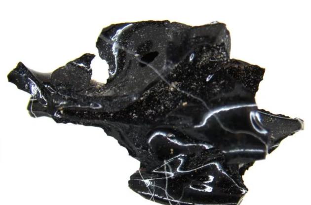 Scavi Ercolano, trovato cervello umano vetrificato a causa del calore durante l'eruzione del Vesuvio del 79 dC, unico caso al mondo