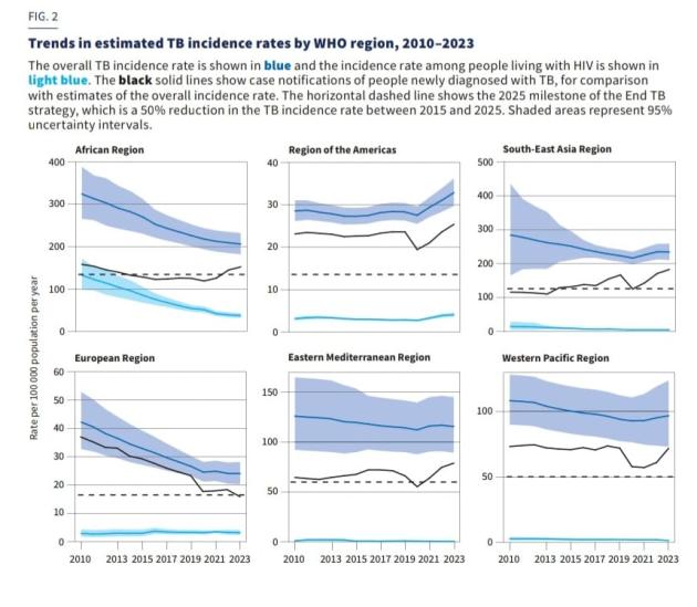 Tubercolosi in Italia, aumento nel 2025 ma nessun allarmismo, solo il 2.1% dei casi totali è registrato in tutta l'Europa, contagi in diminuzione costante da più di 10 anni