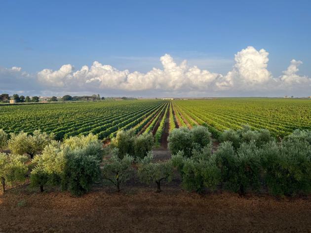 Banco Bpm, finanziamento da €4,2 mln lo sviluppo di Casale del Giglio, eccellenza vitivinicola della Famiglia Santarelli