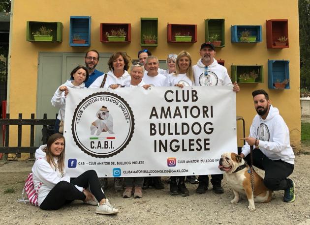 EVENTO PER CANI, IL 4 MAGGIO IN BRIANZA TORNA IL PIÙ GRANDE INCONTRO DEDICATO AI BULLDOG INGLESI: AL PARCO LA 28ª EDIZIONE DEL #BULLDOGDAY PROMOSSA DAL CABI