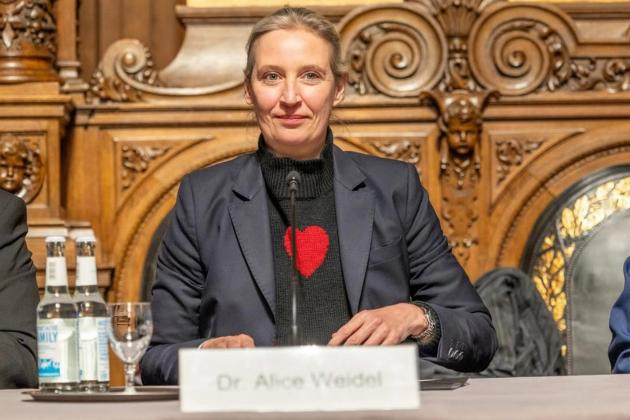 AfD dichiarato un pericolo per la democrazia, verrà messo fuori legge? Un'altra prova di "democrazia" made in UE