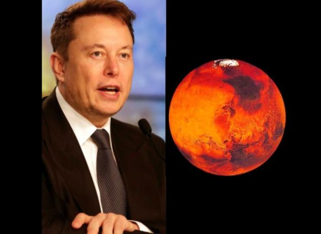 Twitter, tribunale sospende il processo: fissato ultimatum di Elon Musk per l'acquisizione il 28 ottobre 