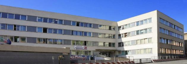 iis bergese