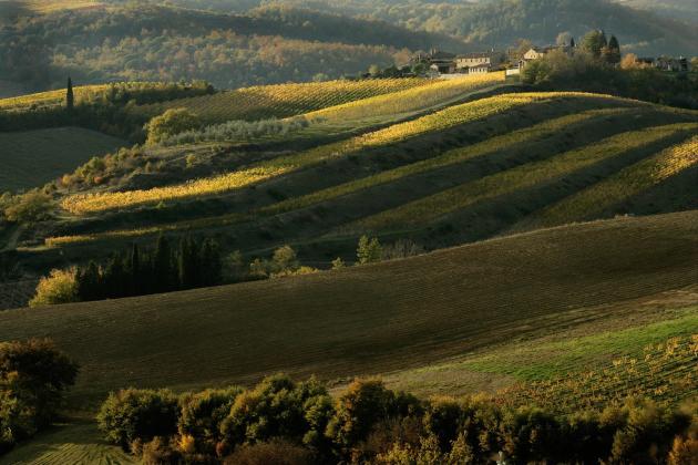migliori produzioni 