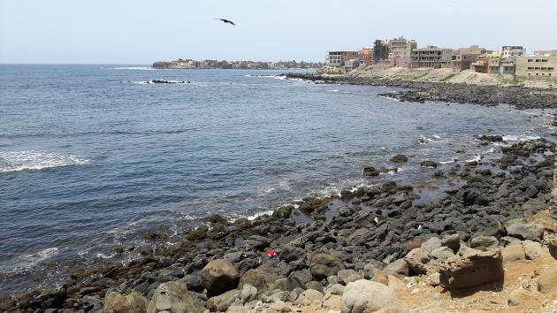 Nuovo ritrovamento di cocaina sulla nave Grande Nigeria della Grimaldi sotto sequestro al porto di Dakar, in Senegal