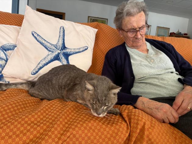 Giugno, mese dell’adozione felina: la seconda vita dei gatti “fragili” nelle case di riposo