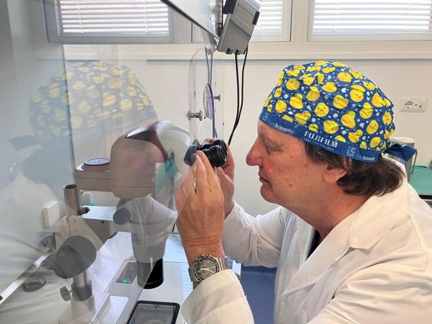 Sanità. Greco (S.I.d.R.): “Embrioni congelati, servono nuove politiche sanitarie”
