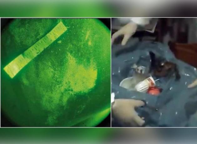Garlasco, scoperto capello di 3 cm nella spazzatura di casa Poggi, nel 2008 analizzate 17 formazioni pilifere, ma “nessuna riconducibile a Stasi”