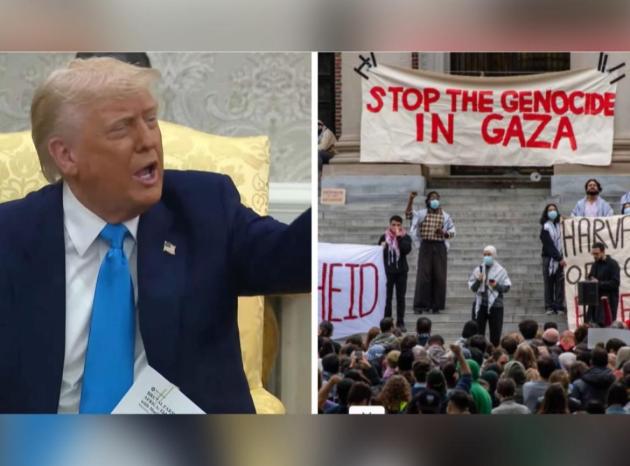 Trump ancora contro Harvard, nuova sospensione dei finanziamenti per proteste anti-genocidio a Gaza: “Studenti antisemiti contro ebrei”