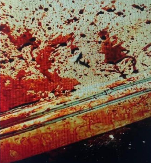 Omicidio Nada Cella, in una foto ingrandita mostrata in aula le tracce lasciate dall’arma del delitto