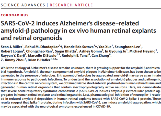 Vaccino Covid, proteina Spike causa Alzheimer, induce formazione amiloide-β, principale componente placche amiloidi responsabili della malattia - lo STUDIO Usa