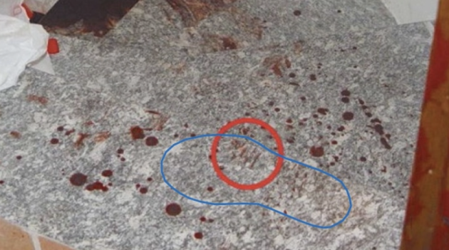 Garlasco, "trovate tracce del secondo assassino: l'impronta di una scarpa nel sangue e una strisciata mai analizzate dai Ris"