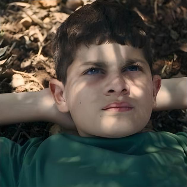 Israele, film filopalestinese "The Sea" vince Ophir Awards e ottiene nomination all'Oscar, ritorsione di Tel Aviv: taglio fondi all'Academy nazionale